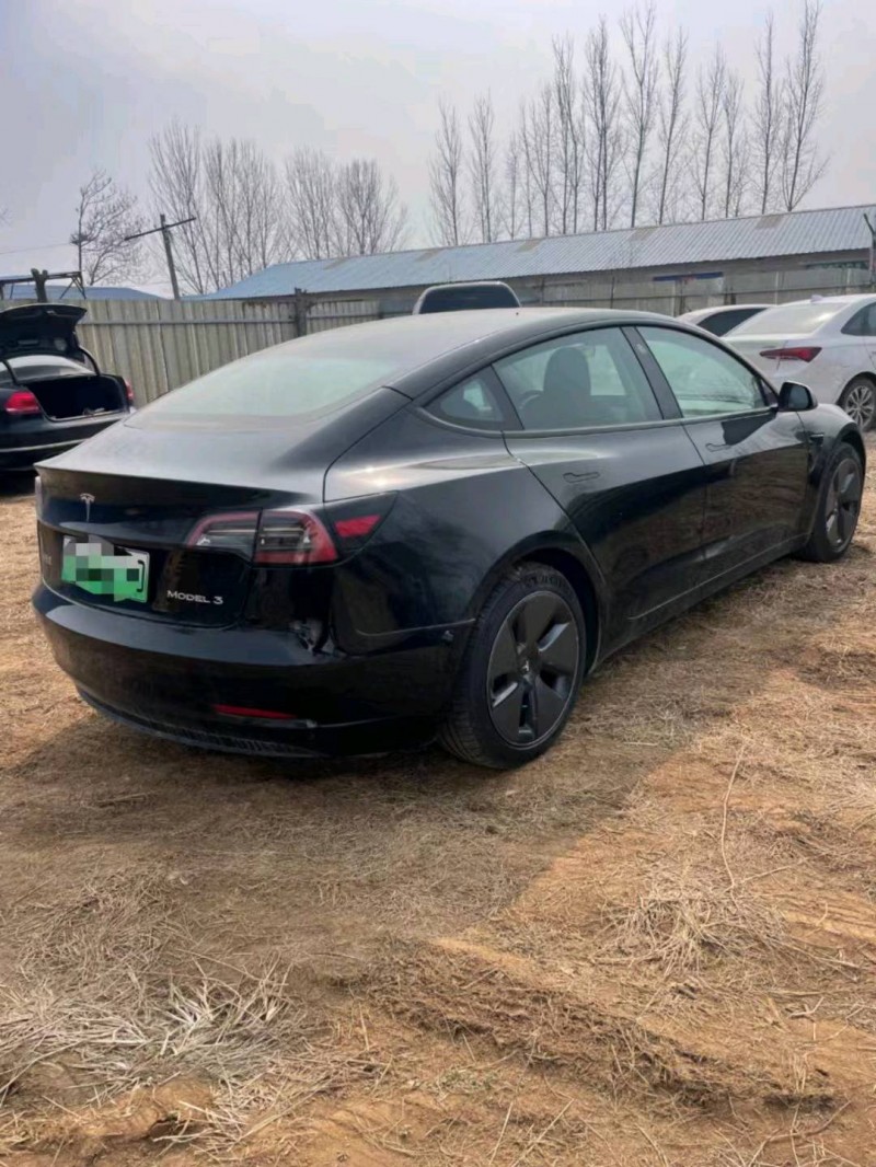 平頂山22年特斯拉MODEL 36
