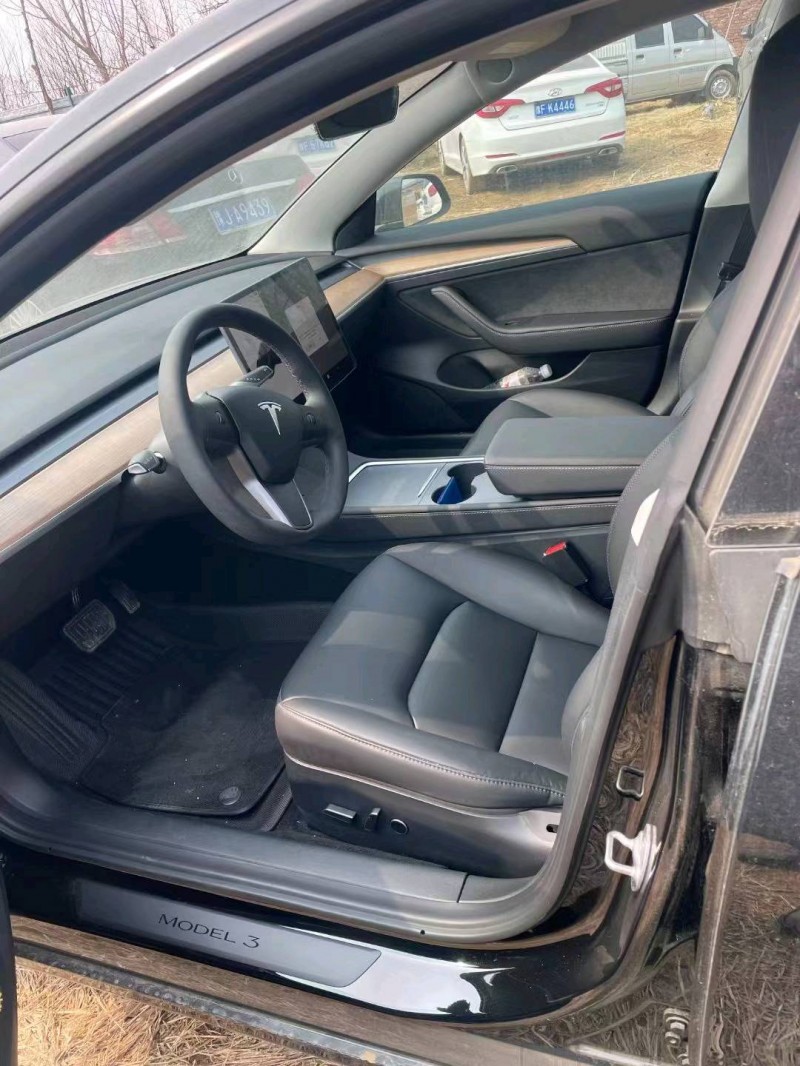 平頂山22年特斯拉MODEL 37