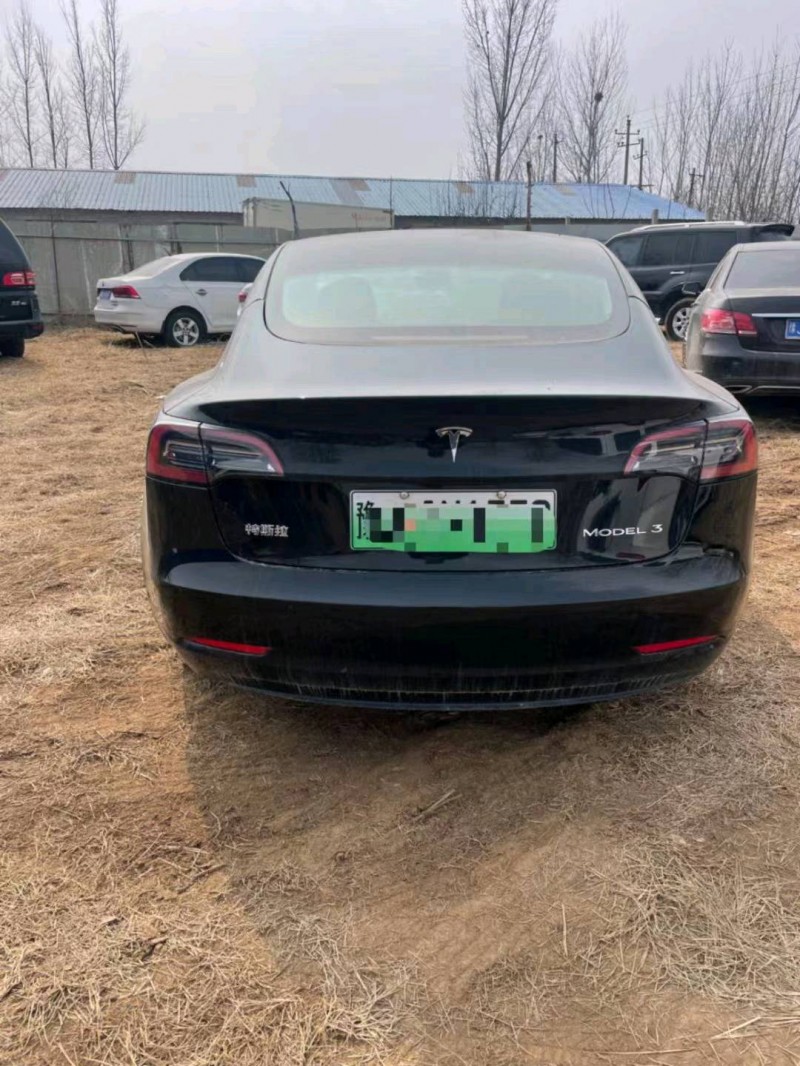 平頂山22年特斯拉MODEL 38