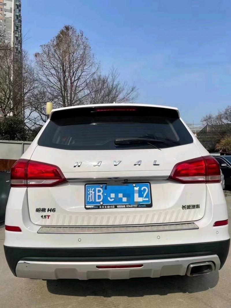 嘉興17年哈弗H65