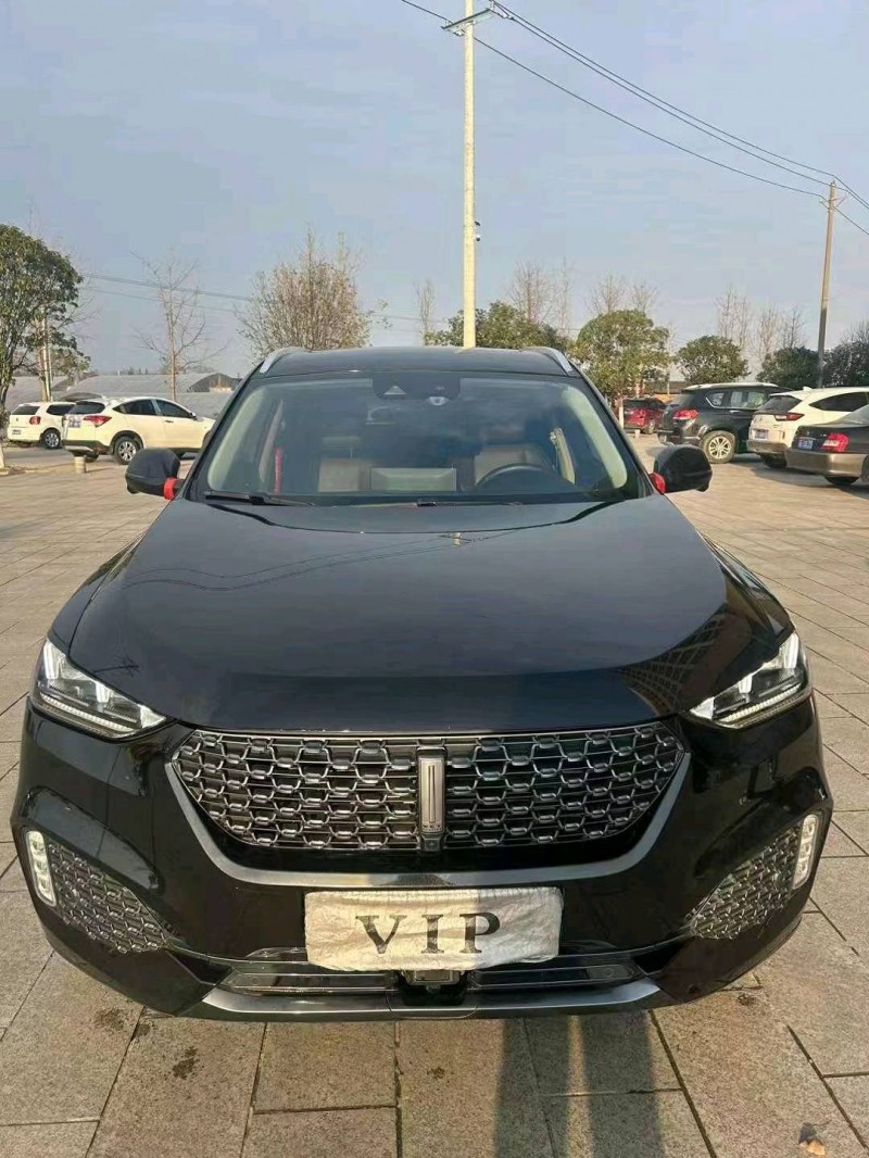 宜昌19年長城汽車WEY VV61