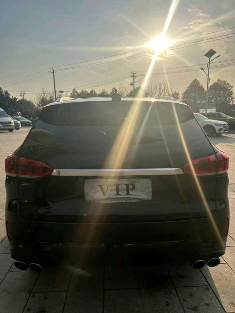 宜昌19年長城汽車WEY VV69