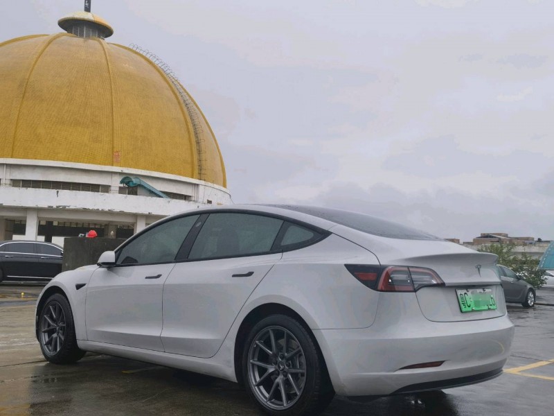 東莞21年特斯拉MODEL 39