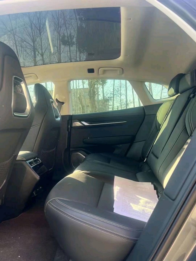 菏澤22年極氪汽車0015