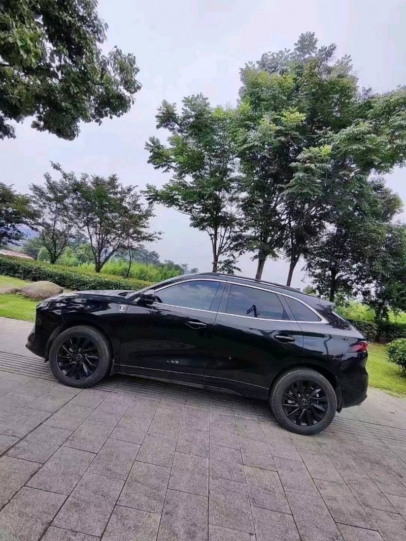 枣庄22年东风T56