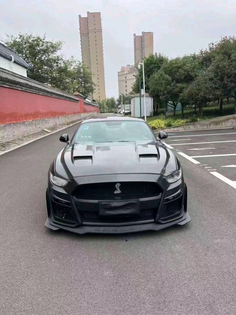 济宁16年福特野马1