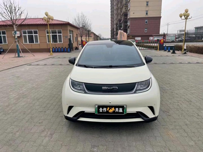 沧州23年比亚迪海豚1