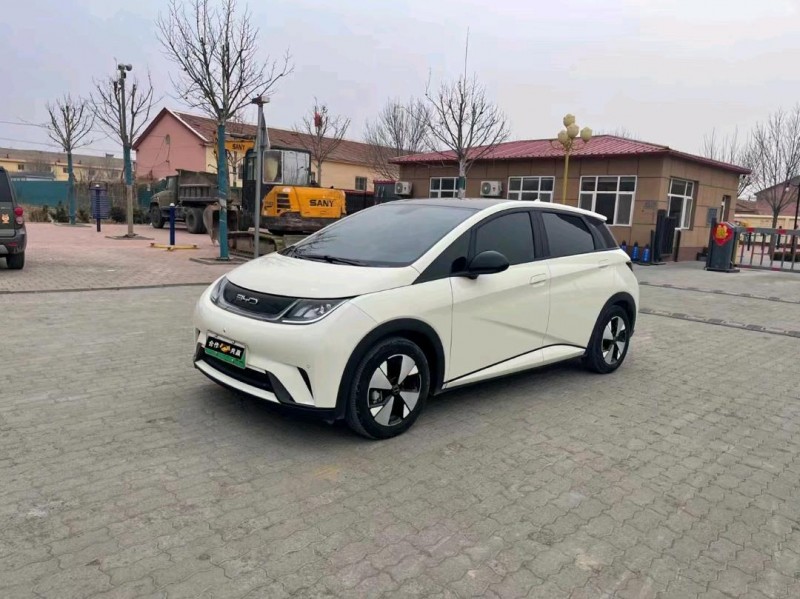 沧州23年比亚迪海豚2