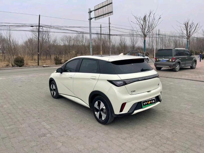 沧州23年比亚迪海豚3