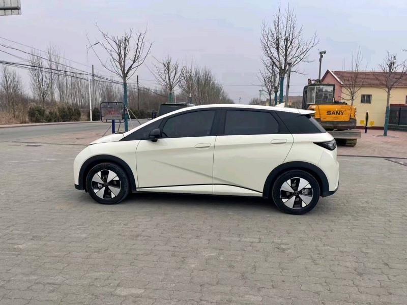 沧州23年比亚迪海豚4