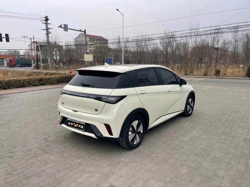 沧州23年比亚迪海豚5