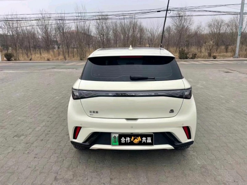 沧州23年比亚迪海豚6