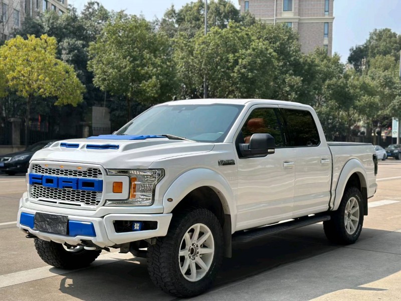 嘉興20年福特F-1502