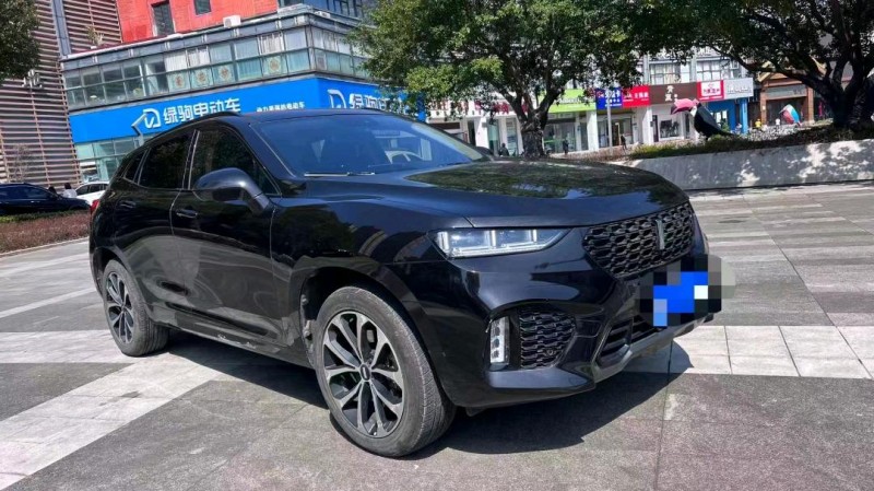 嘉興17年長城汽車WEY VV73