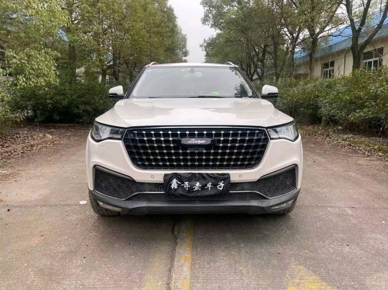 衡陽17年眾泰T7001