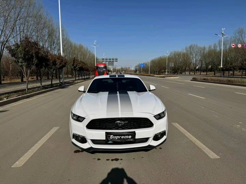 淄博16年福特野马1