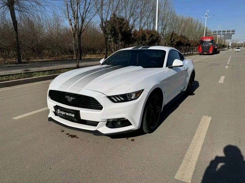 淄博16年福特野马3