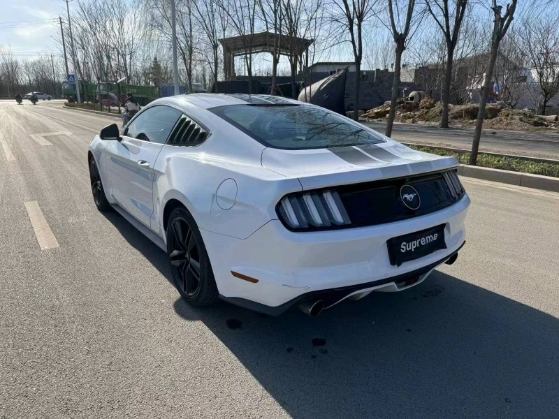 淄博16年福特野马4