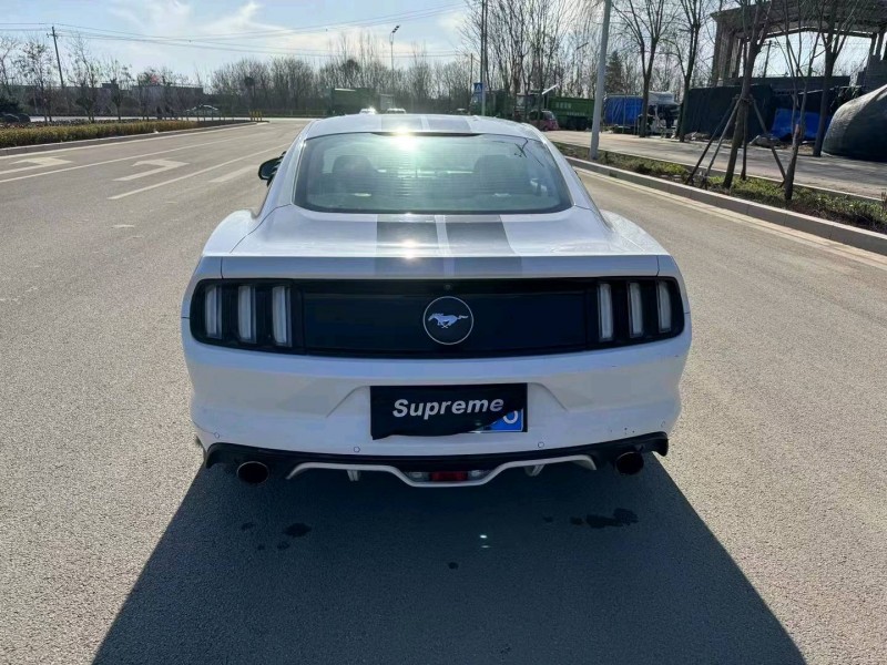 淄博16年福特野马5