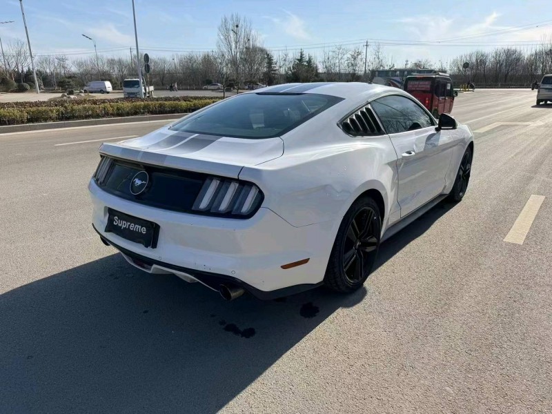 淄博16年福特野马7