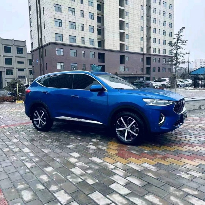 白銀19年哈弗F75