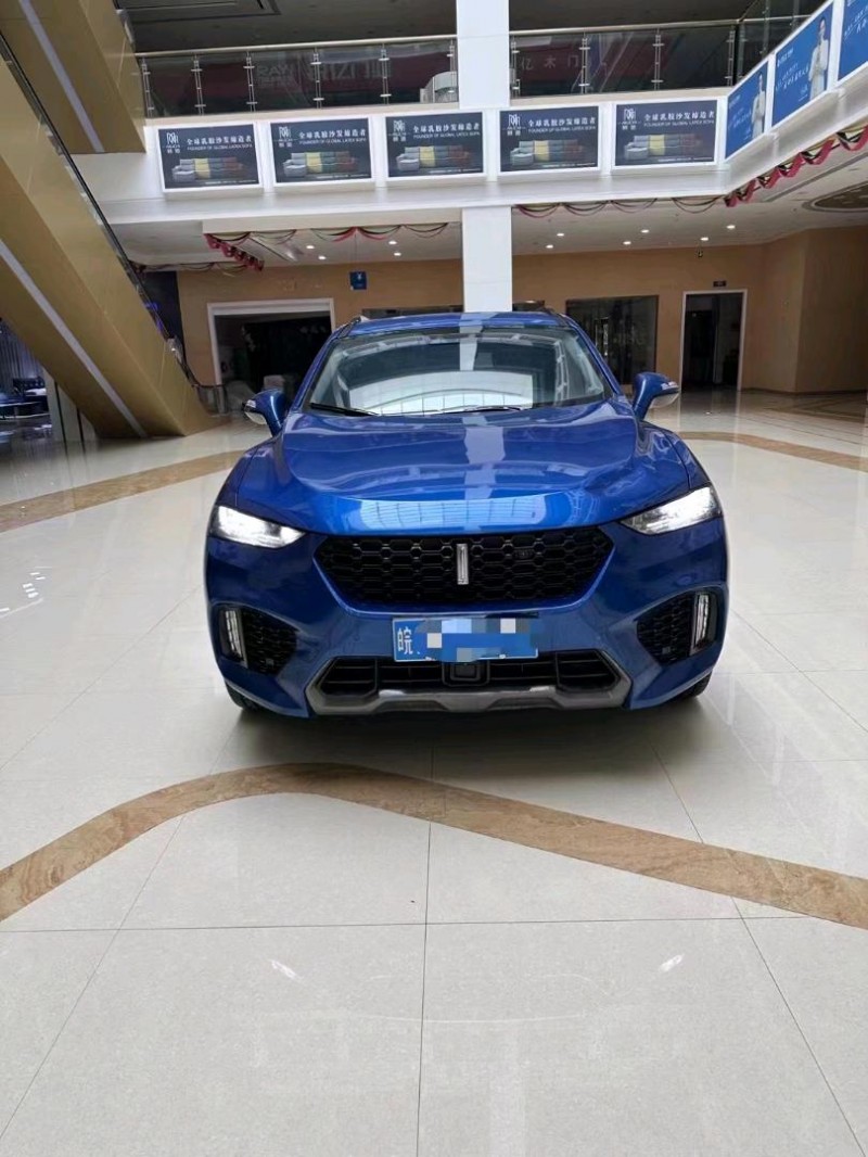 淮南18年長城汽車WEY VV71