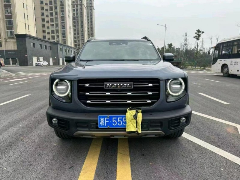 广州21年哈弗大狗1