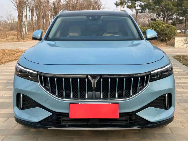 寶雞22年嵐圖汽車FREE1