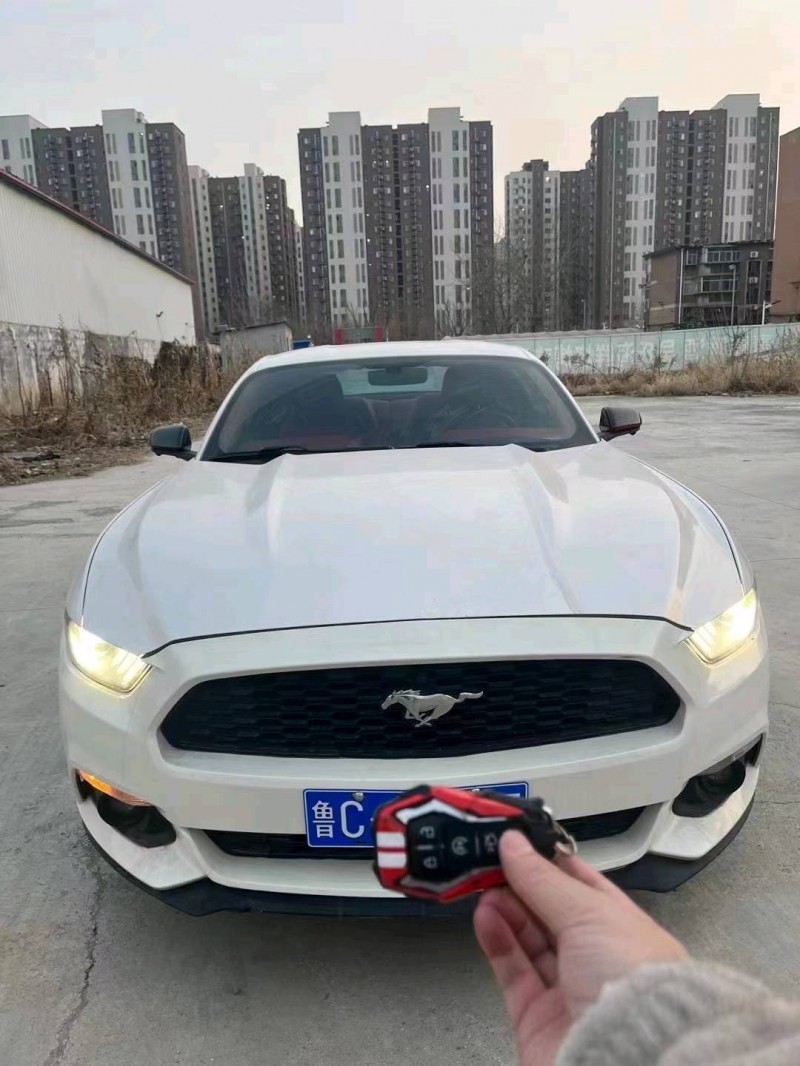 枣庄17年福特野马1