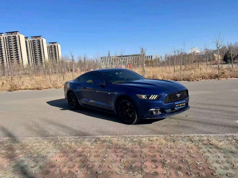 邯郸16年福特野马2