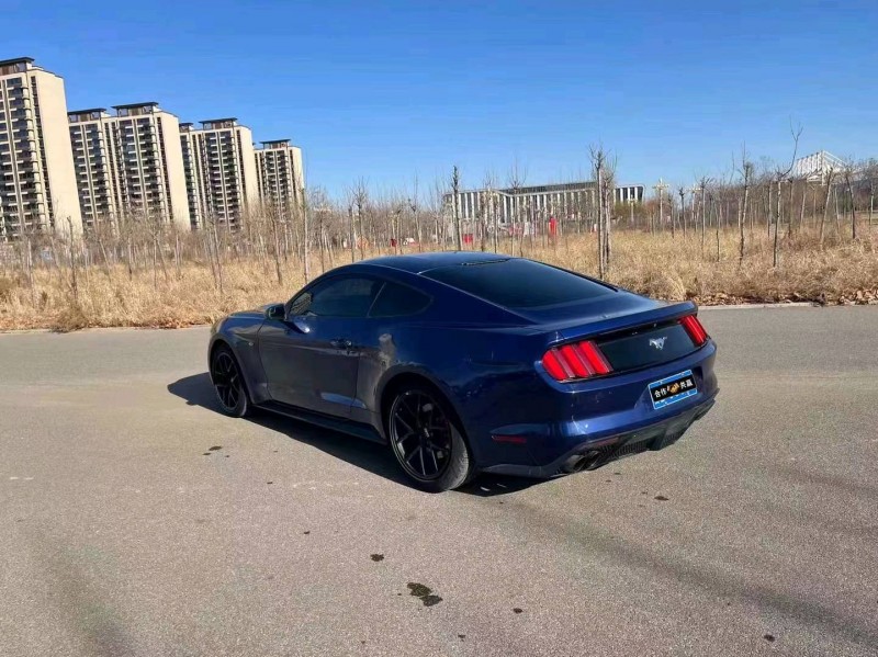 邯郸16年福特野马3