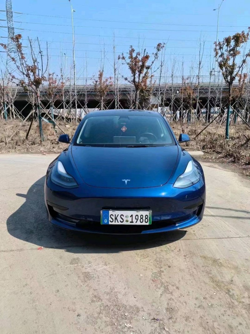 棗莊22年特斯拉MODEL 31