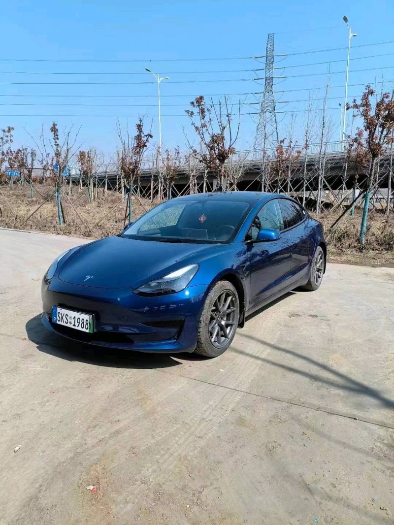 棗莊22年特斯拉MODEL 33