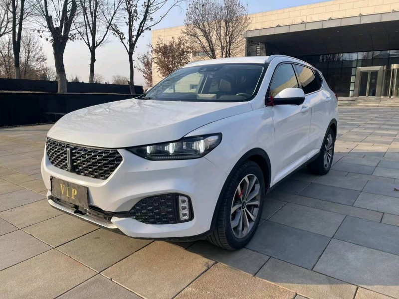 沈陽20年長城汽車WEY VV62
