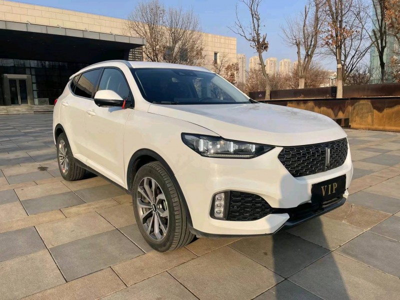 沈陽20年長城汽車WEY VV63