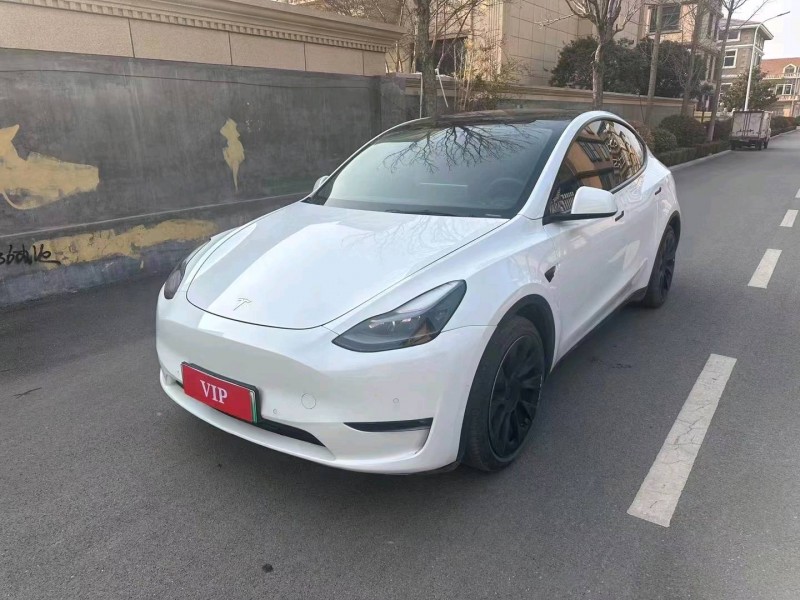 棗莊21年特斯拉MODEL Y3