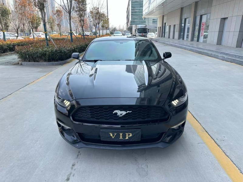 济宁16年福特野马1