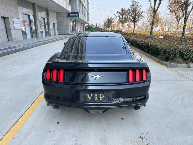 济宁16年福特野马9