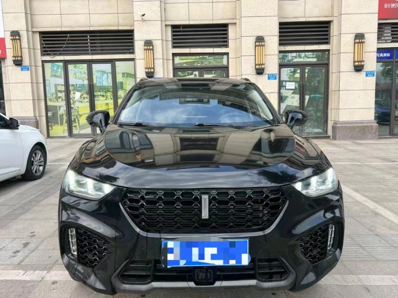 重庆18年长城汽车WEY VV51
