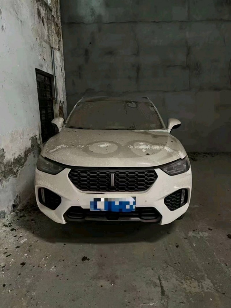 嘉興19年長城汽車WEY VV51