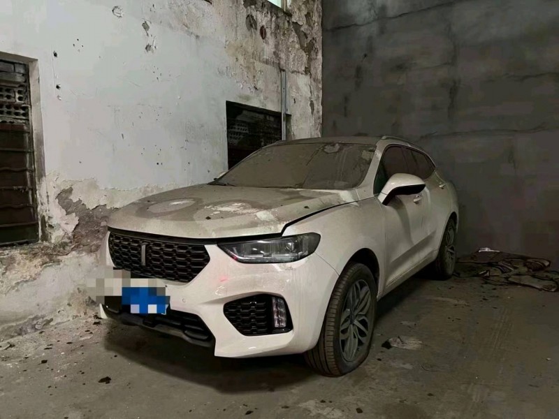 嘉興19年長城汽車WEY VV52