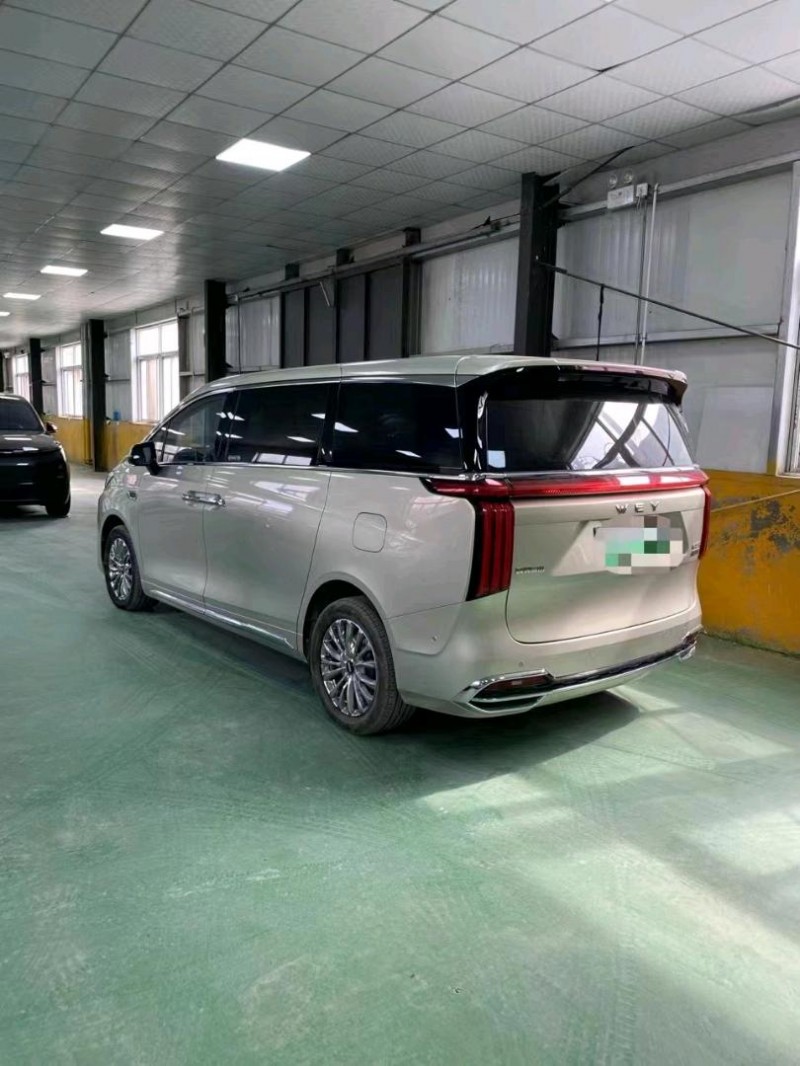 邯郸23年长城汽车魏牌高山8