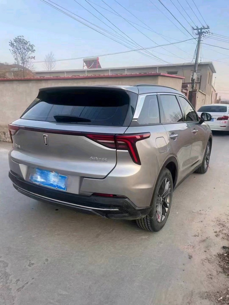 邯郸21年奔腾T554