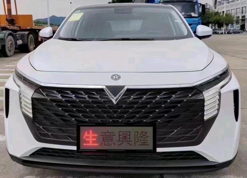 汕頭23年啟辰大V1