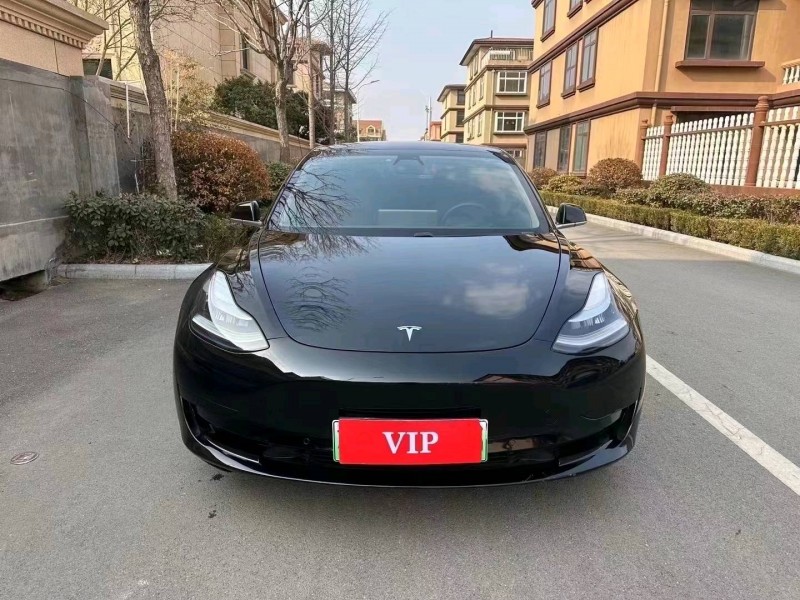棗莊20年特斯拉MODEL 31