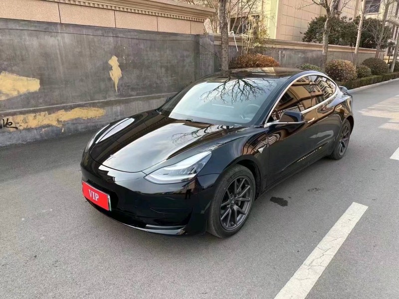 棗莊20年特斯拉MODEL 33