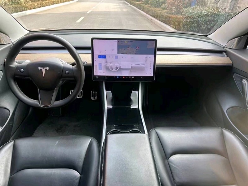棗莊20年特斯拉MODEL 38