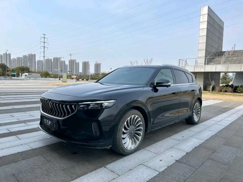 鹽城22年嵐圖汽車FREE2