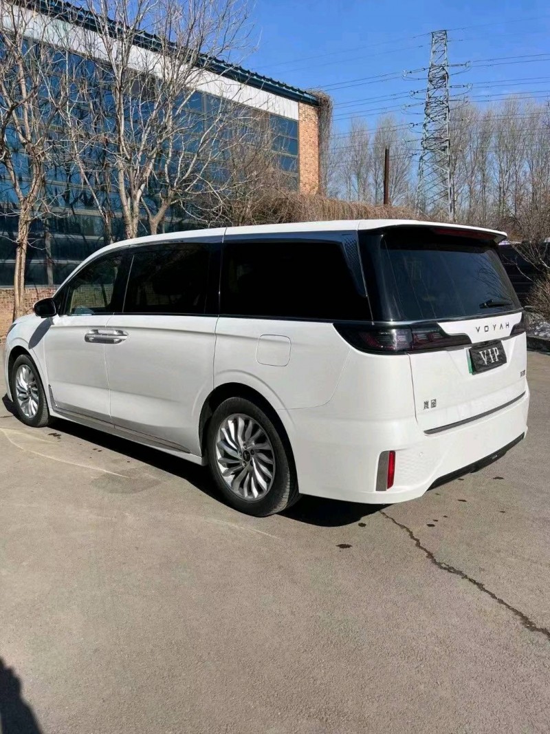 沈陽23年嵐圖汽車夢想家9