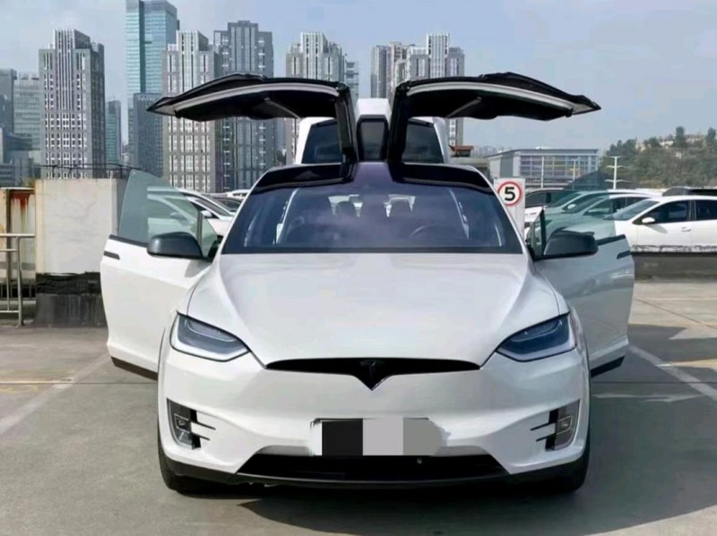 湖州17年特斯拉MODEL X1